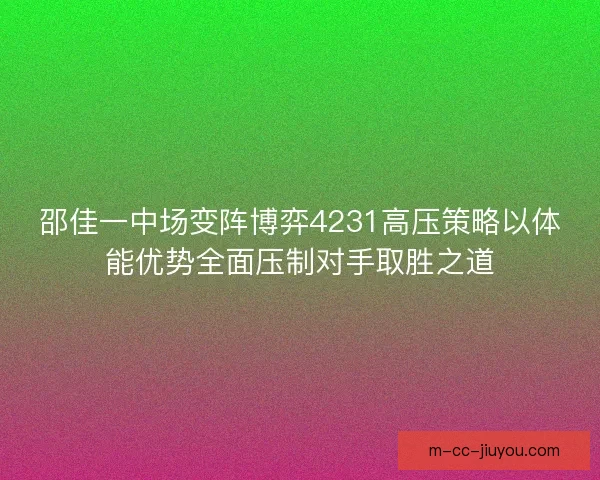 邵佳一中场变阵博弈4231高压策略以体能优势全面压制对手取胜之道