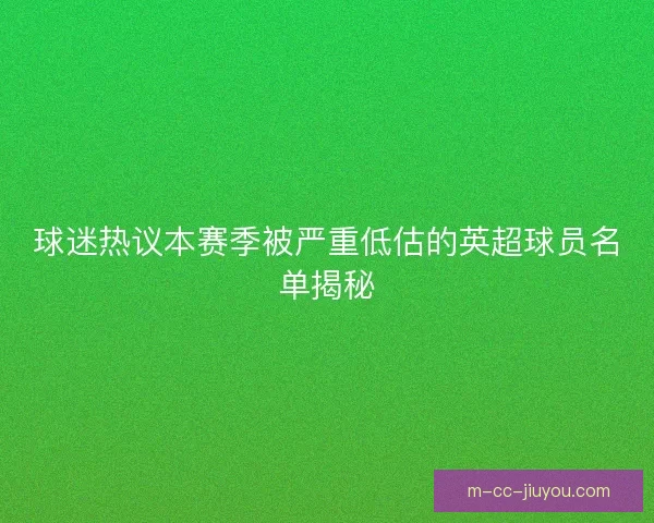 球迷热议本赛季被严重低估的英超球员名单揭秘